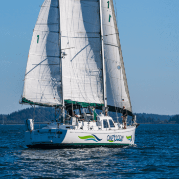 Around the Americas: One Island, One Ocean